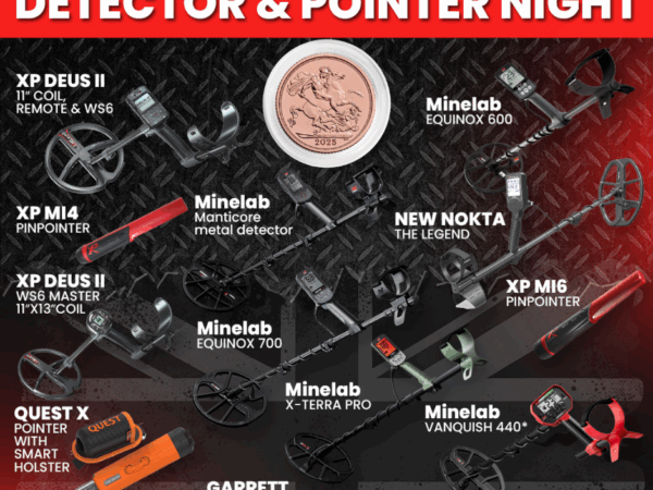 The Big Detector and pointer night